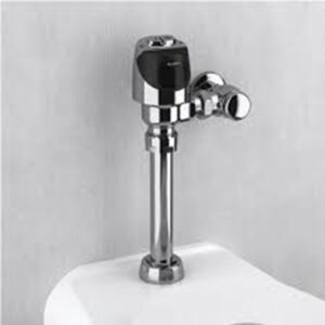 Exposed Flush Valve
