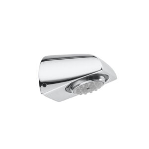 Vandal proof shower head