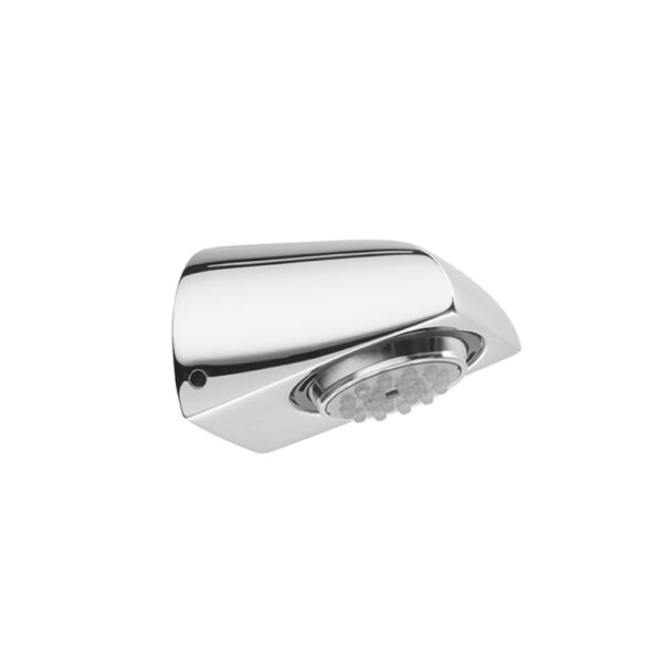 Vandal proof shower head