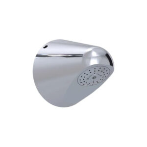 Vandal proof shower